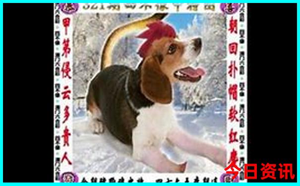 重庆周边凉快的旅游景点